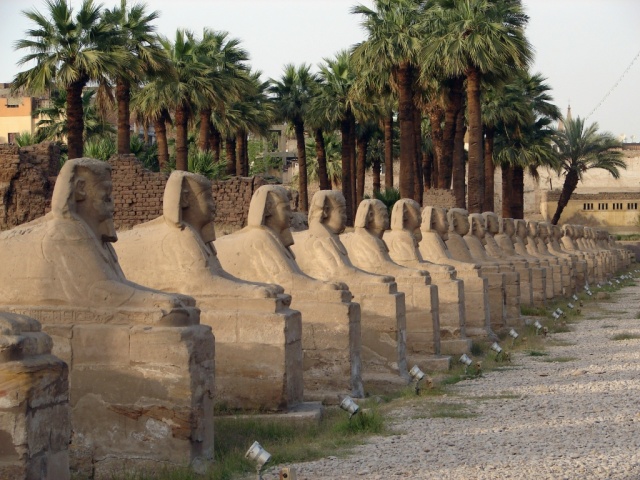 2008/03(March)/AroundTheWorld/Egypt/Luxor/640x480_Famous row of human face Sphinexes Luxor temple.jpg